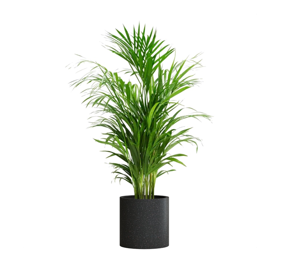 Кашпо CONCRETIKA CYLINDER EGG BLACK D40H40