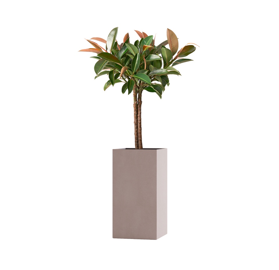 Кашпо CONCRETIKA COLONNA COCOA 40x40x80