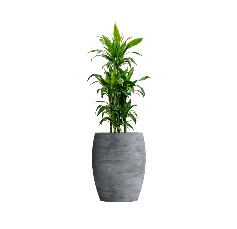 Кашпо CONCRETIKA OVAL CONCRETE GREY LIGHT D45H66