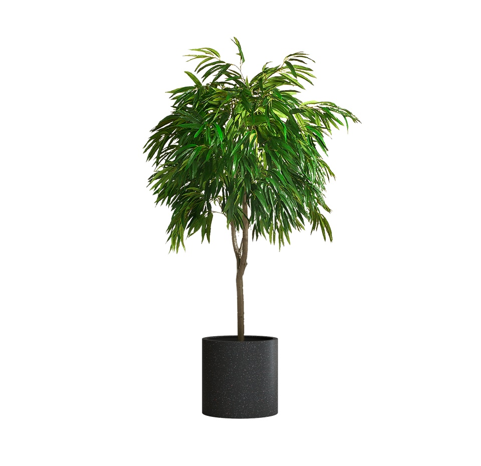Кашпо CONCRETIKA CYLINDER EGG BLACK D45H45