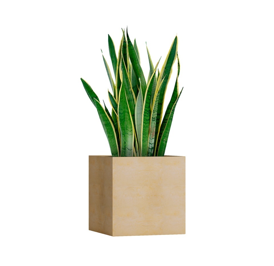 Кашпо CONCRETIKA CUBE LEMON 40x40x40