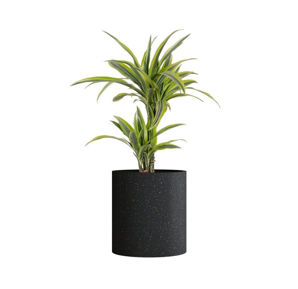 Кашпо CONCRETIKA CYLINDER EGG BLACK D60H65