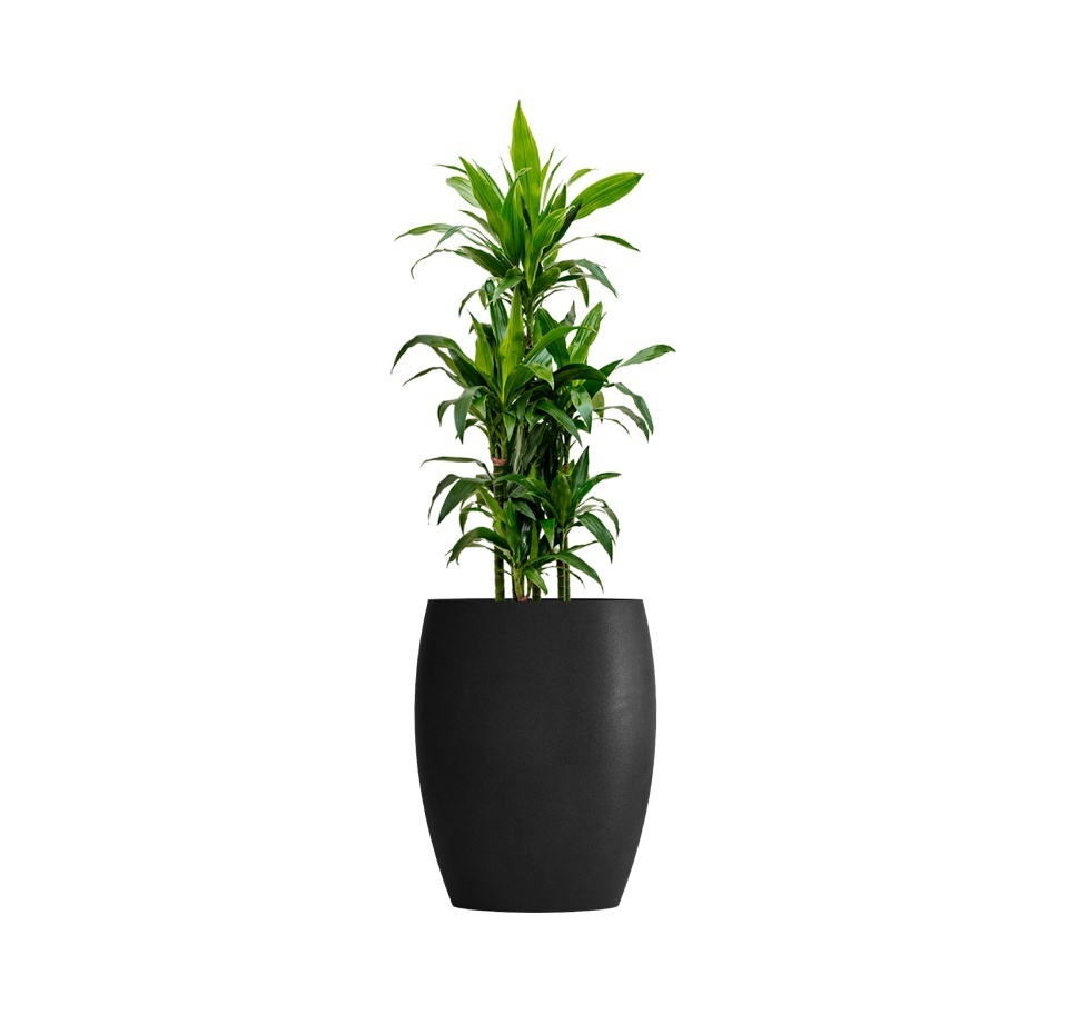 Кашпо CONCRETIKA OVAL NERO D45H66