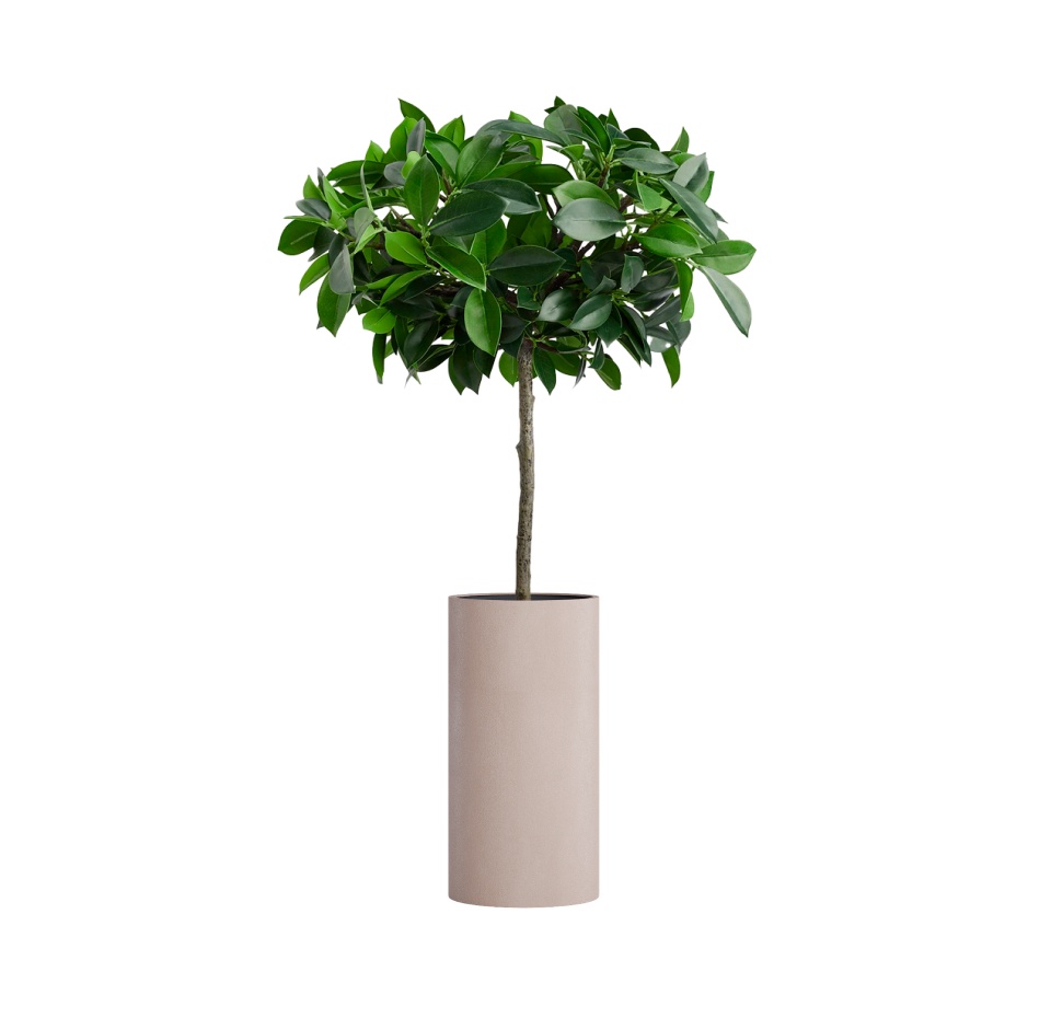 Кашпо CONCRETIKA CYLINDER COCOA D30H60