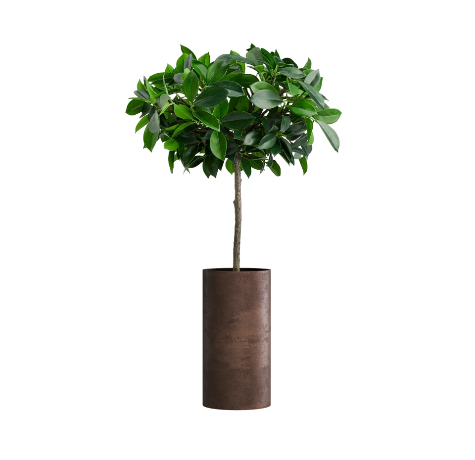Кашпо CONCRETIKA CYLINDER COFFEE D30H60