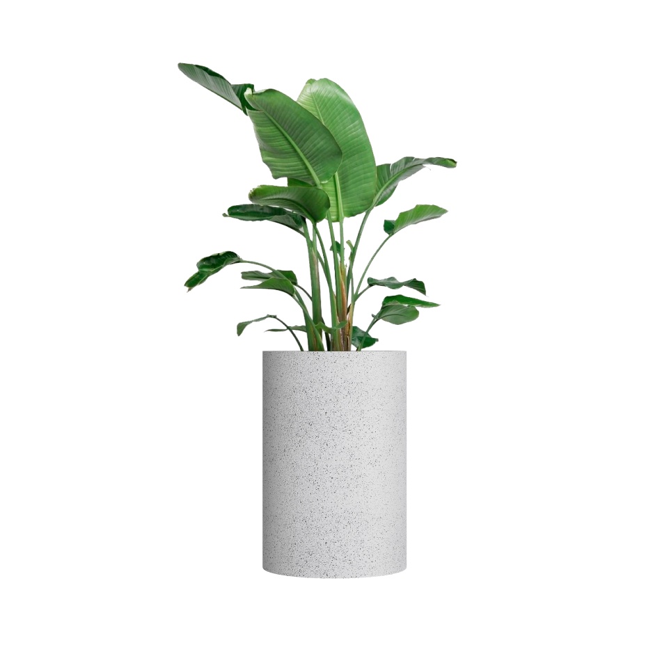 Кашпо CONCRETIKA CYLINDER EGG WHITE D60H90