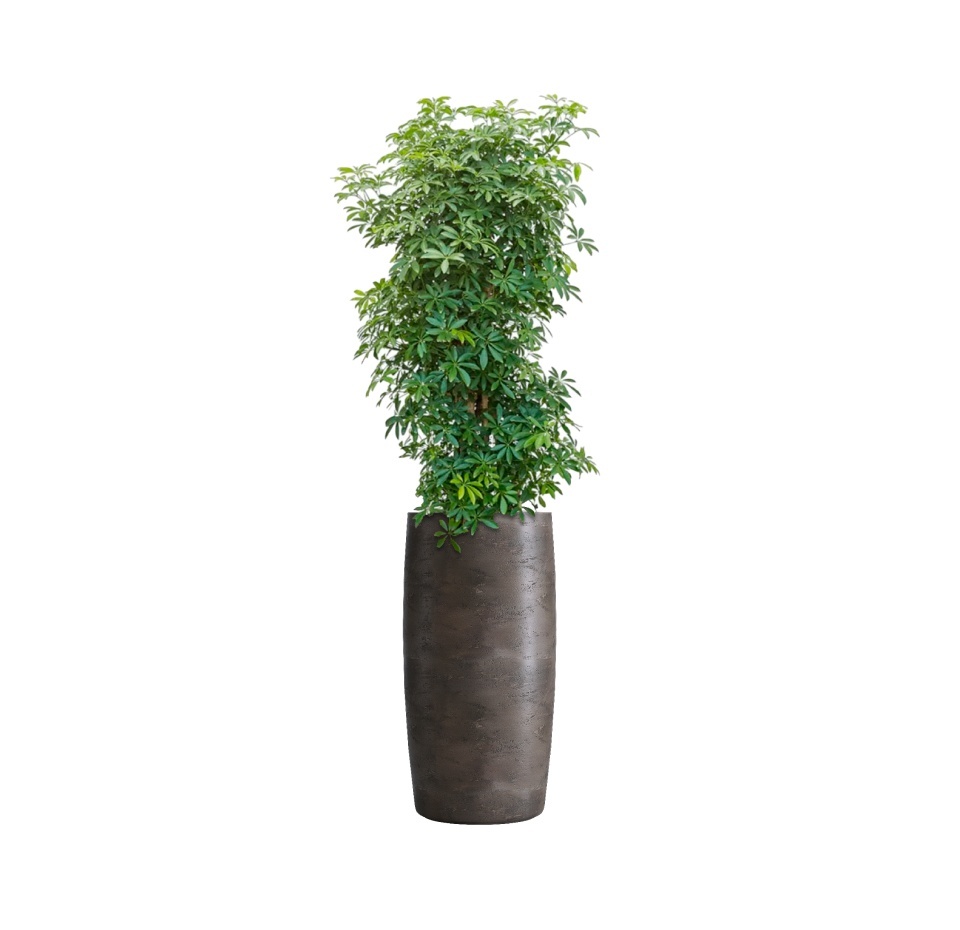 Кашпо CONCRETIKA CIGAR TAUPE CONCRETE D37H78