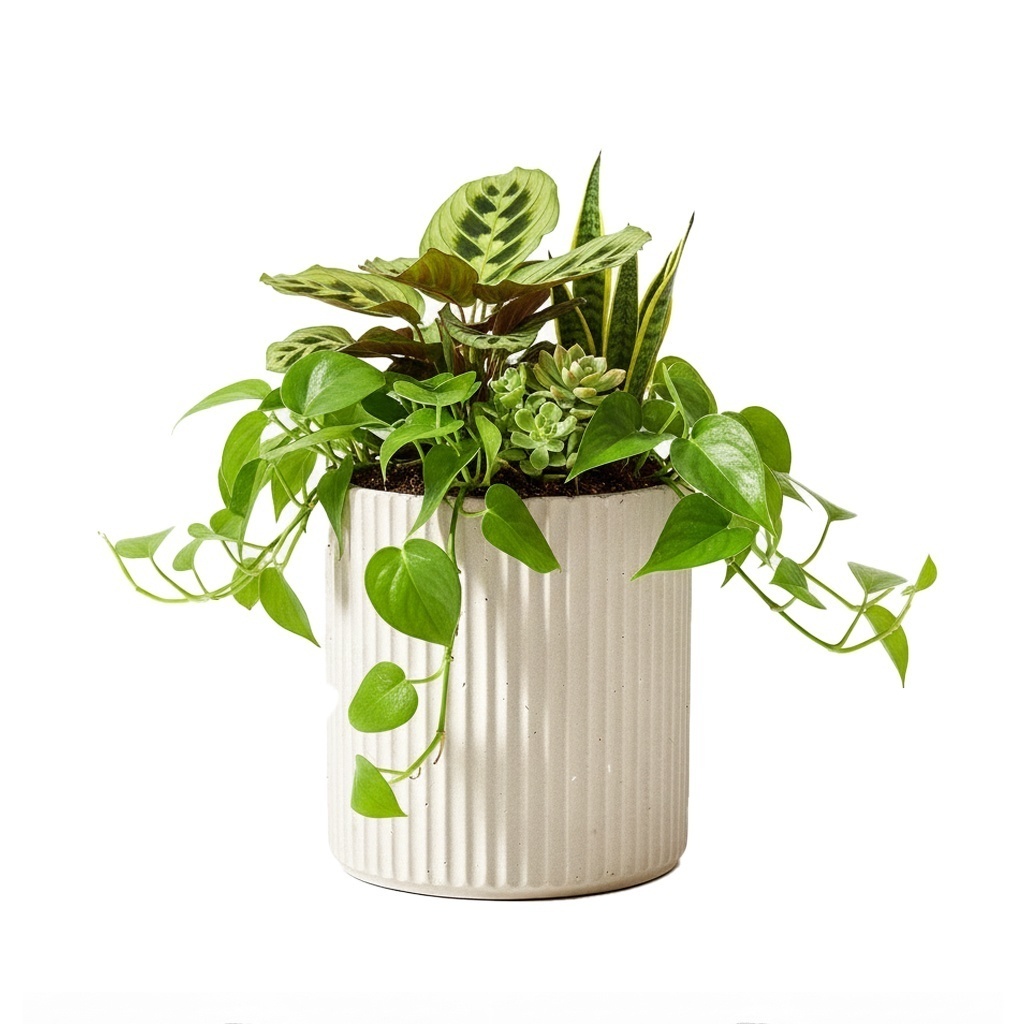 Кашпо CONCRETIKA RIFLOU DUNE R D40H40