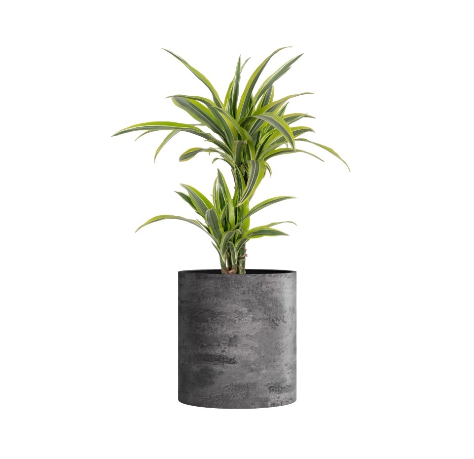 Кашпо CONCRETIKA CYLINDER CONCRETE GREY DARK D60H65