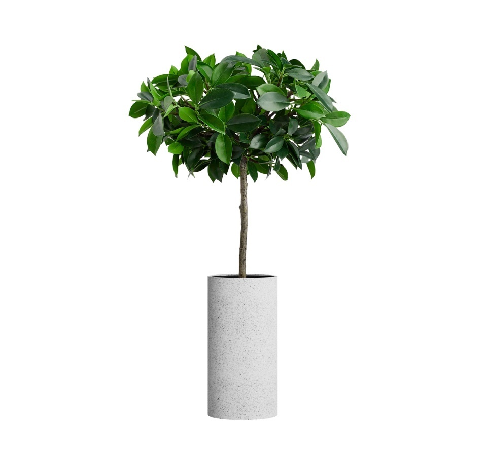 Кашпо CONCRETIKA CYLINDER EGG WHITE D30H60