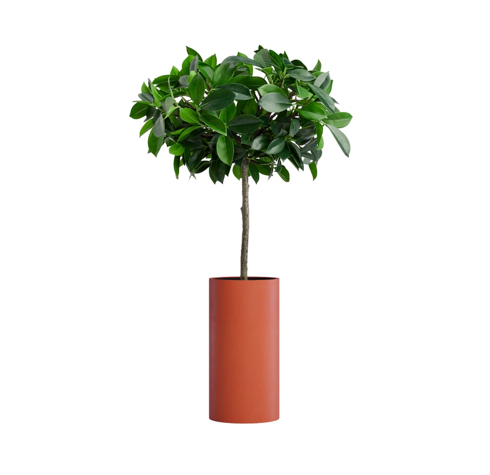 Кашпо CONCRETIKA CYLINDER TERRACOTTA D30H60