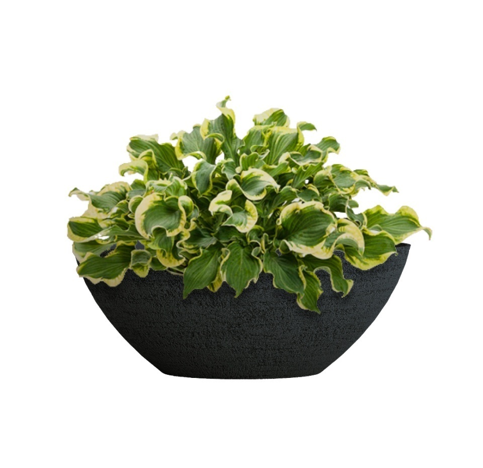 Кашпо CONCRETIKA BONSAY EROSIA BLACK D50H19