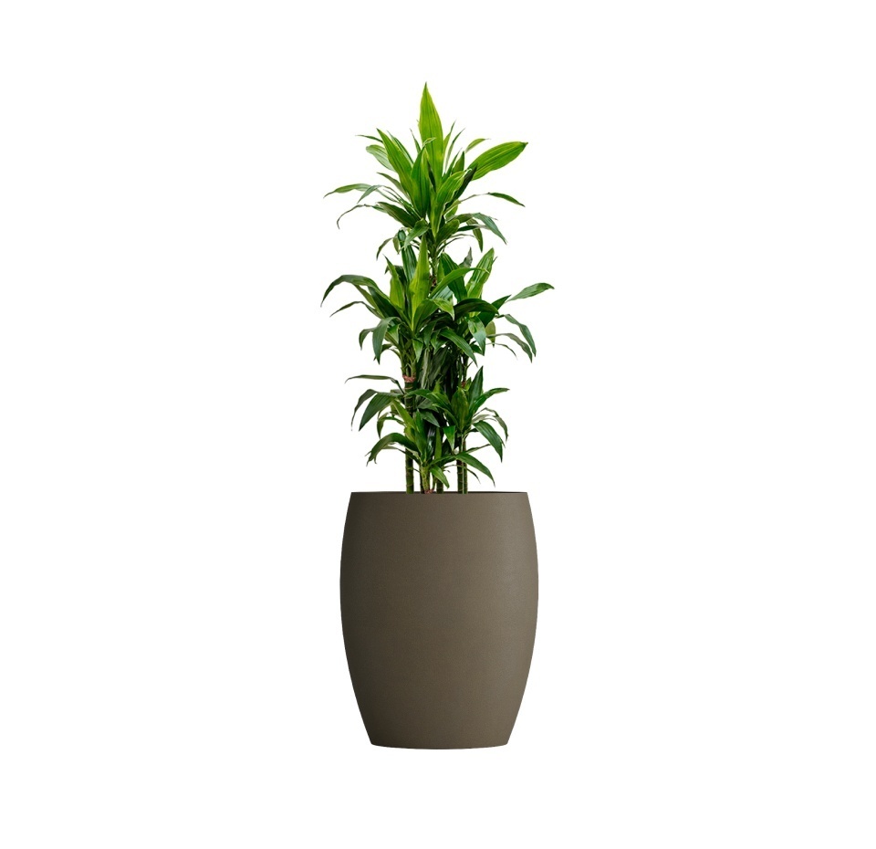 Кашпо CONCRETIKA OVAL OLIVE D45H66