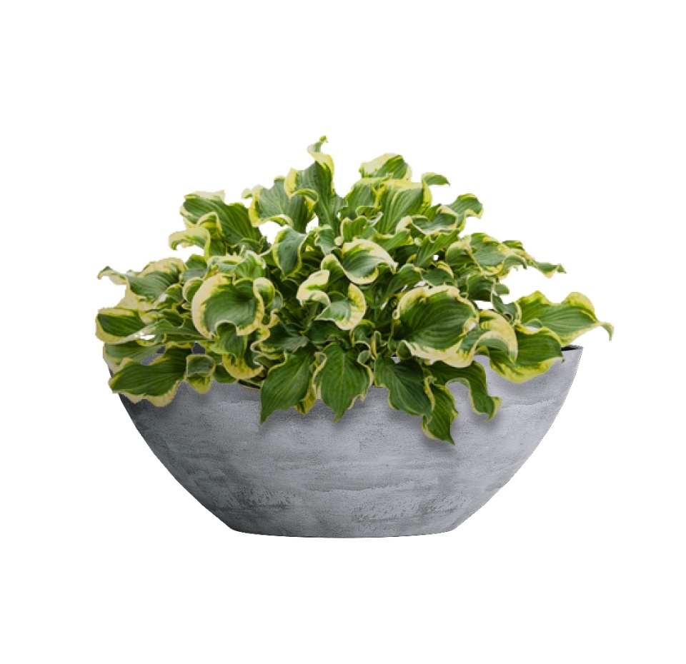 Кашпо CONCRETIKA BONSAY CONCRETE GREY LIGHT D50H19