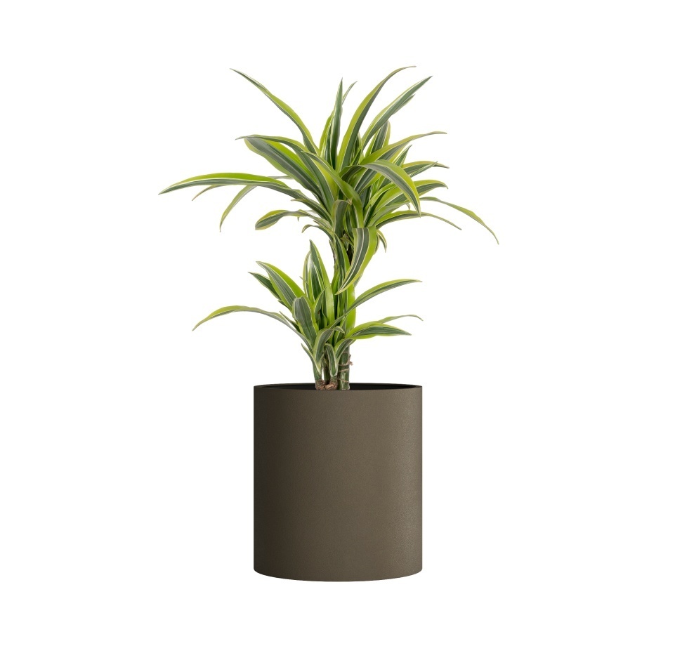 Кашпо CONCRETIKA CYLINDER OLIVE D60H65