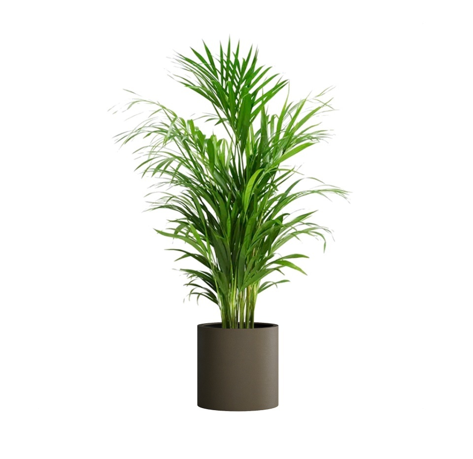 Кашпо CONCRETIKA CYLINDER OLIVE D40H40