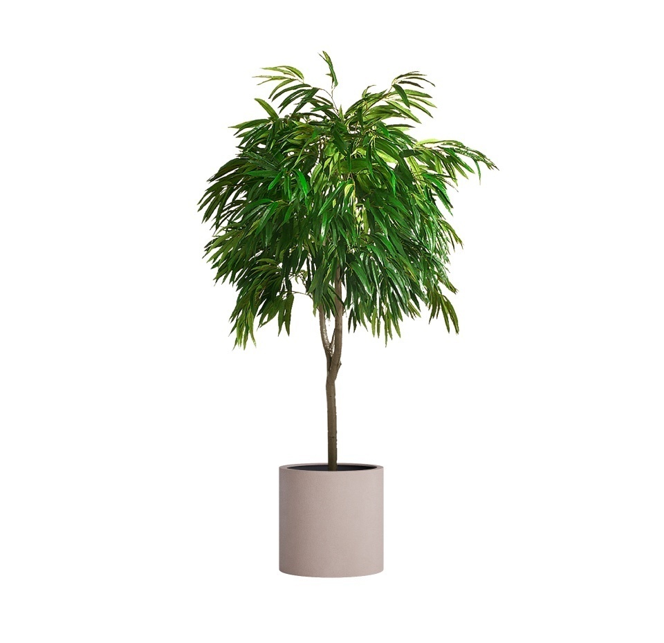 Кашпо CONCRETIKA CYLINDER COCOA D45H45