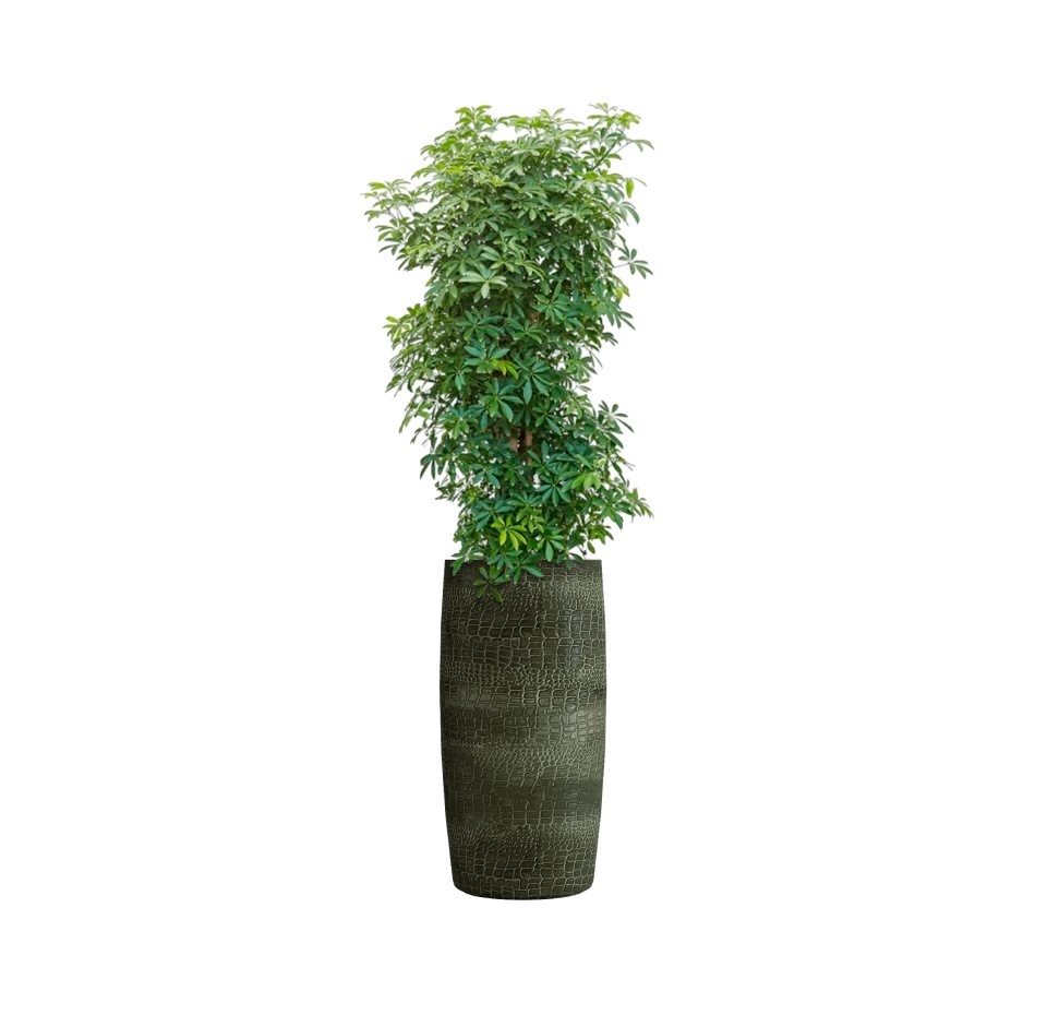 Кашпо CONCRETIKA CIGAR CAYMAN GREEN D37H78