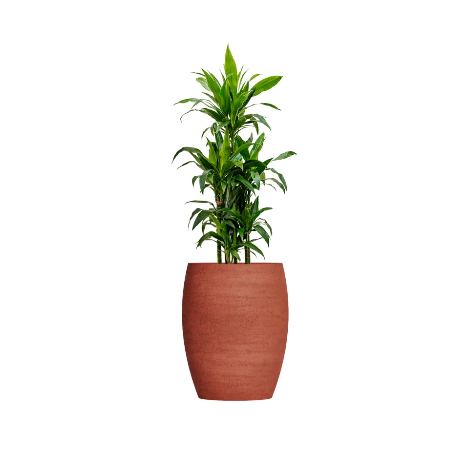 Кашпо CONCRETIKA OVAL CANDY D45H66