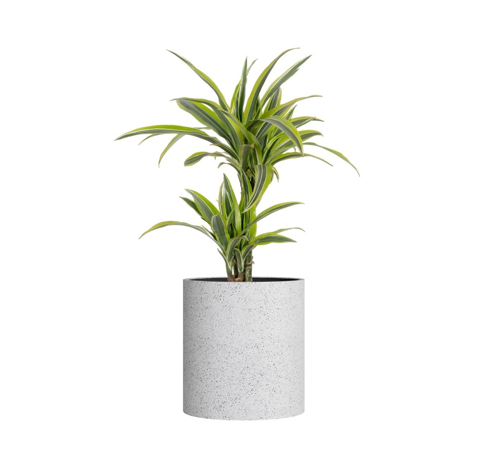 Кашпо CONCRETIKA CYLINDER EGG WHITE D60H65