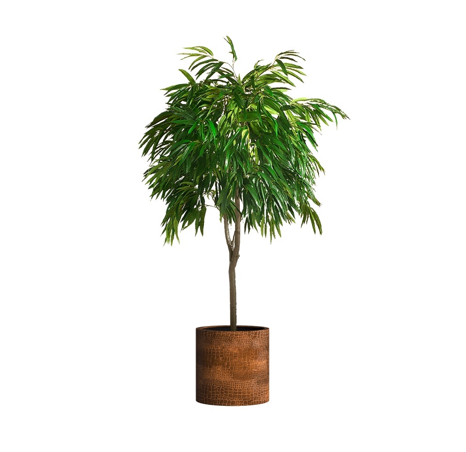 Кашпо CONCRETIKA CYLINDER CAYMAN BROWN D45H45