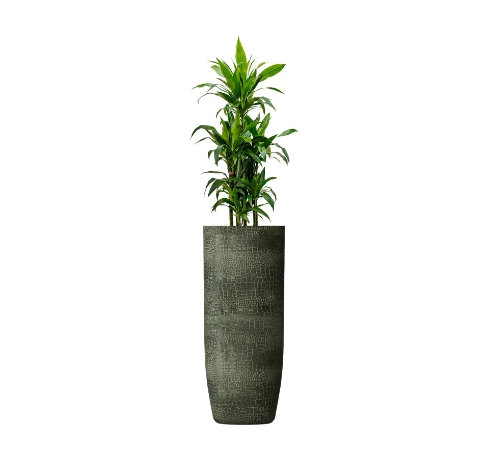 Кашпо CONCRETIKA YAR CAYMAN GREEN D46H110