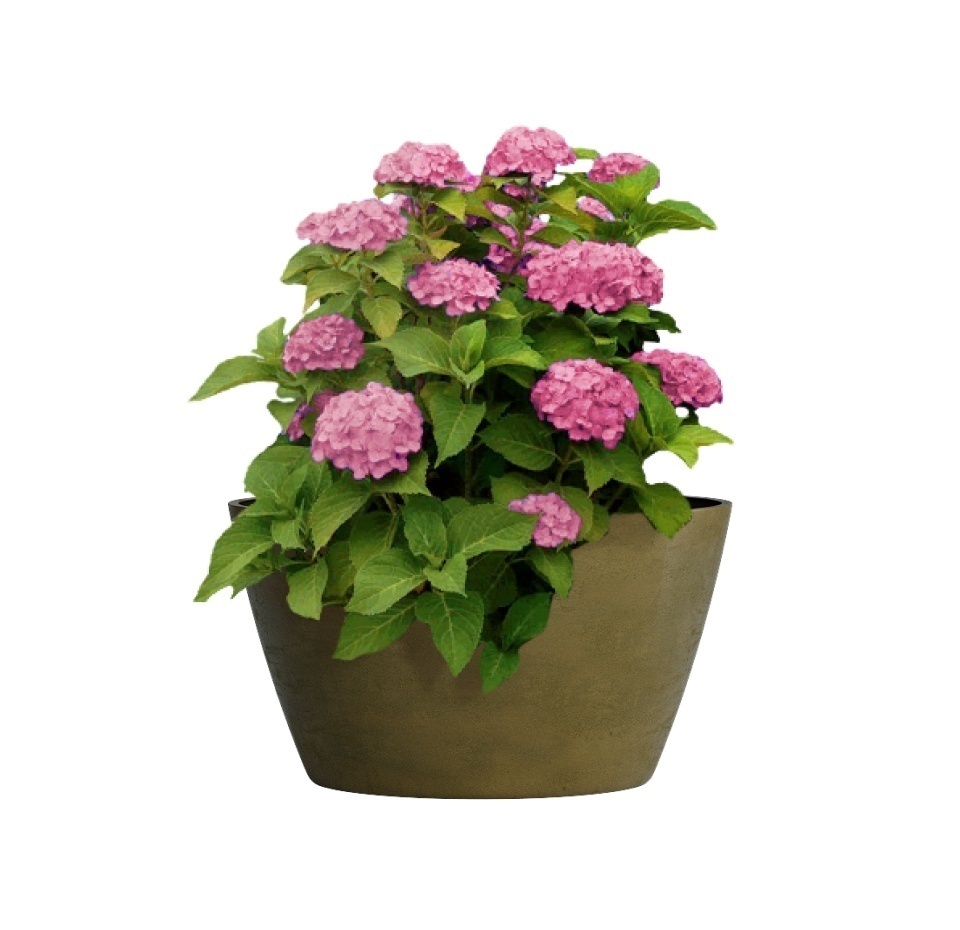 Кашпо CONCRETIKA BOWL AVOCADO D52H29