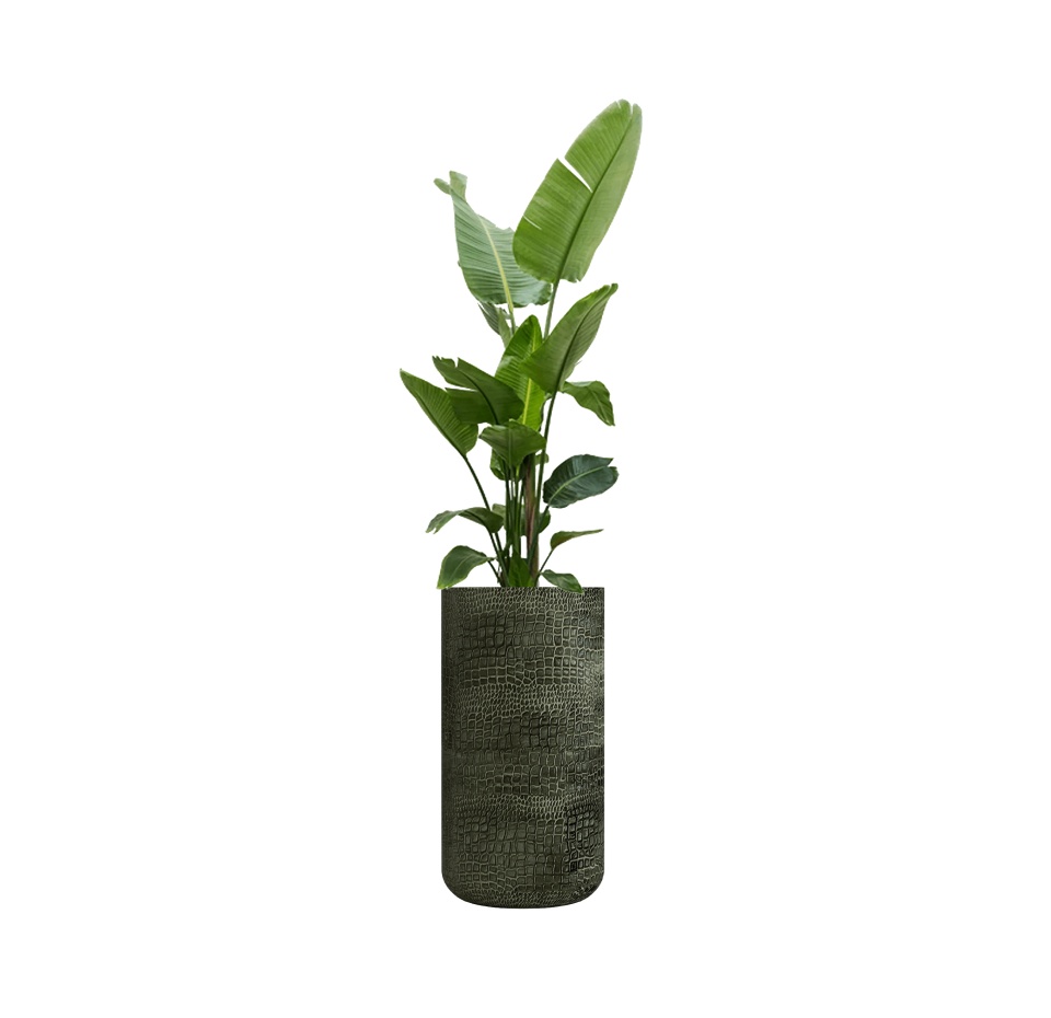 Кашпо CONCRETIKA TOPPER CAYMAN GREEN D40H90