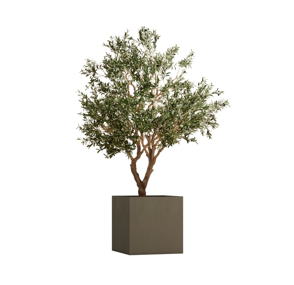 Кашпо CONCRETIKA CUBE OLIVE 50x50x50
