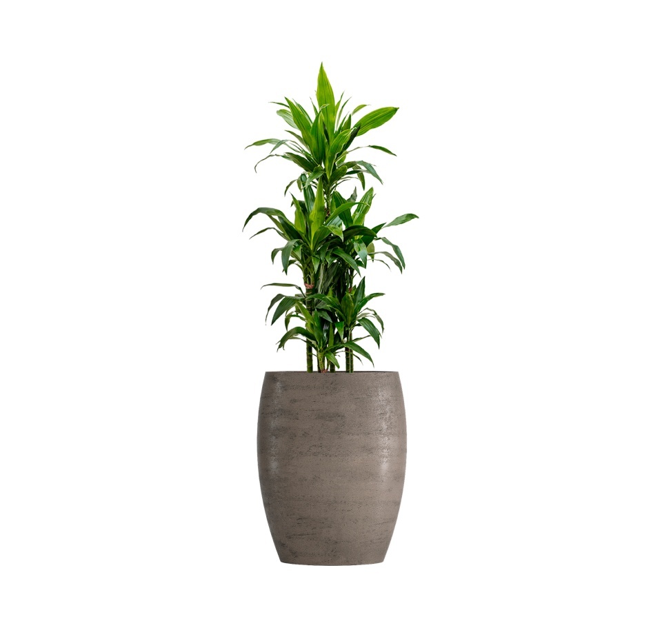 Кашпо CONCRETIKA OVAL SMOKEY GREY D45H66
