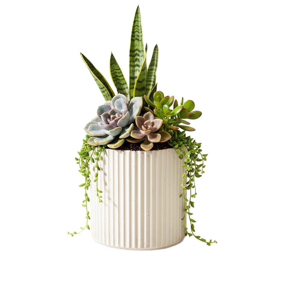 Кашпо CONCRETIKA RIFLOU DUNE R D30H30