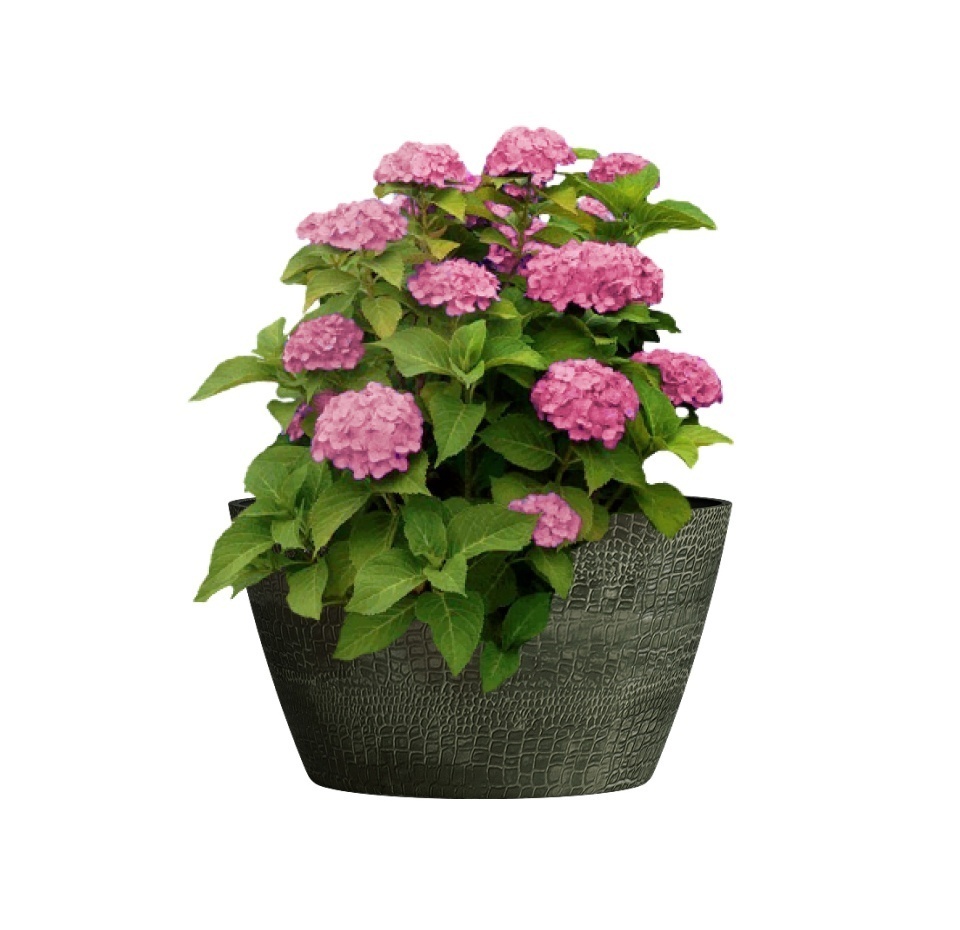 Кашпо CONCRETIKA BOWL CAYMAN GREEN D52H29