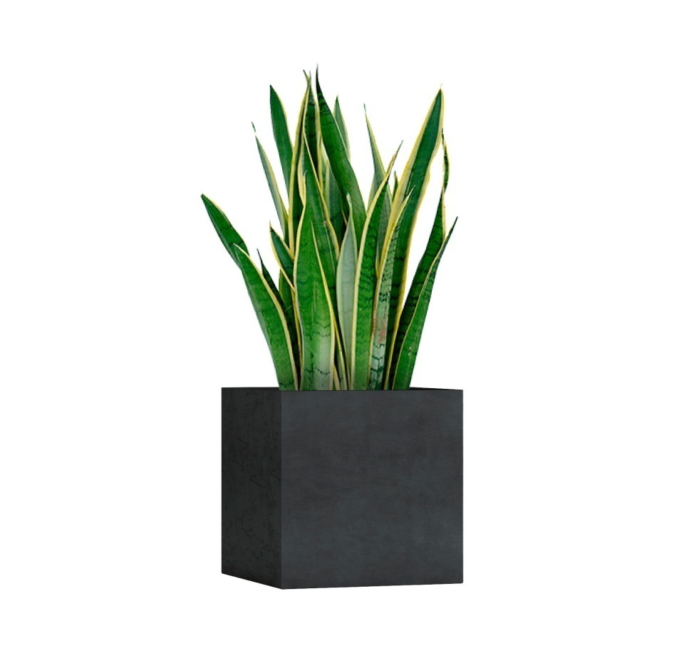 Кашпо CONCRETIKA CUBE ANTHRACITE 40x40x40