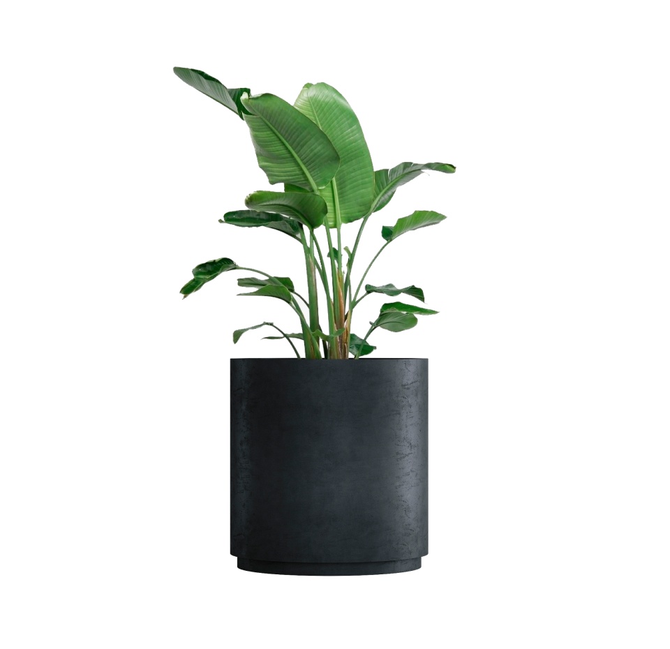 Кашпо CONCRETIKA CYLINDER XL ANTHRACITE D80H85
