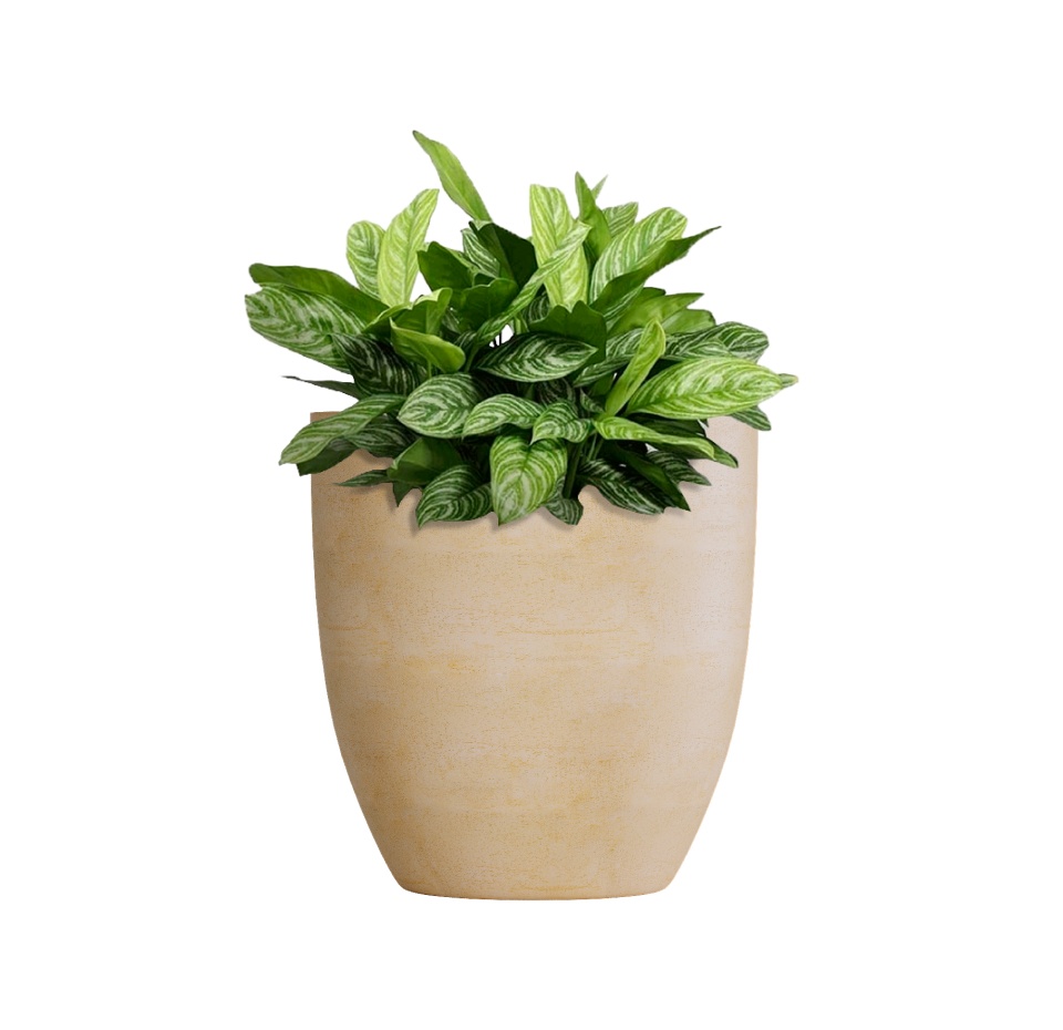 Кашпо CONCRETIKA VASE 3 LEMON D30H32