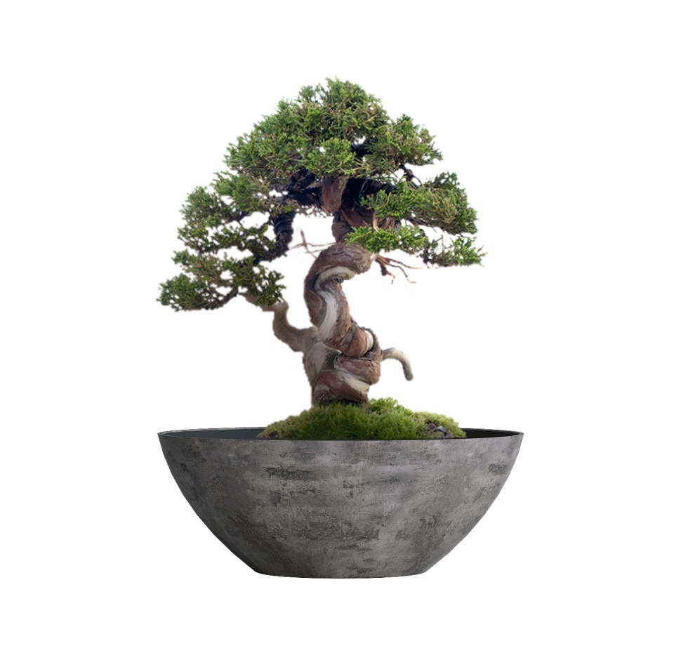 Кашпо CONCRETIKA BONSAY CONCRETE GREY DARK D79H30