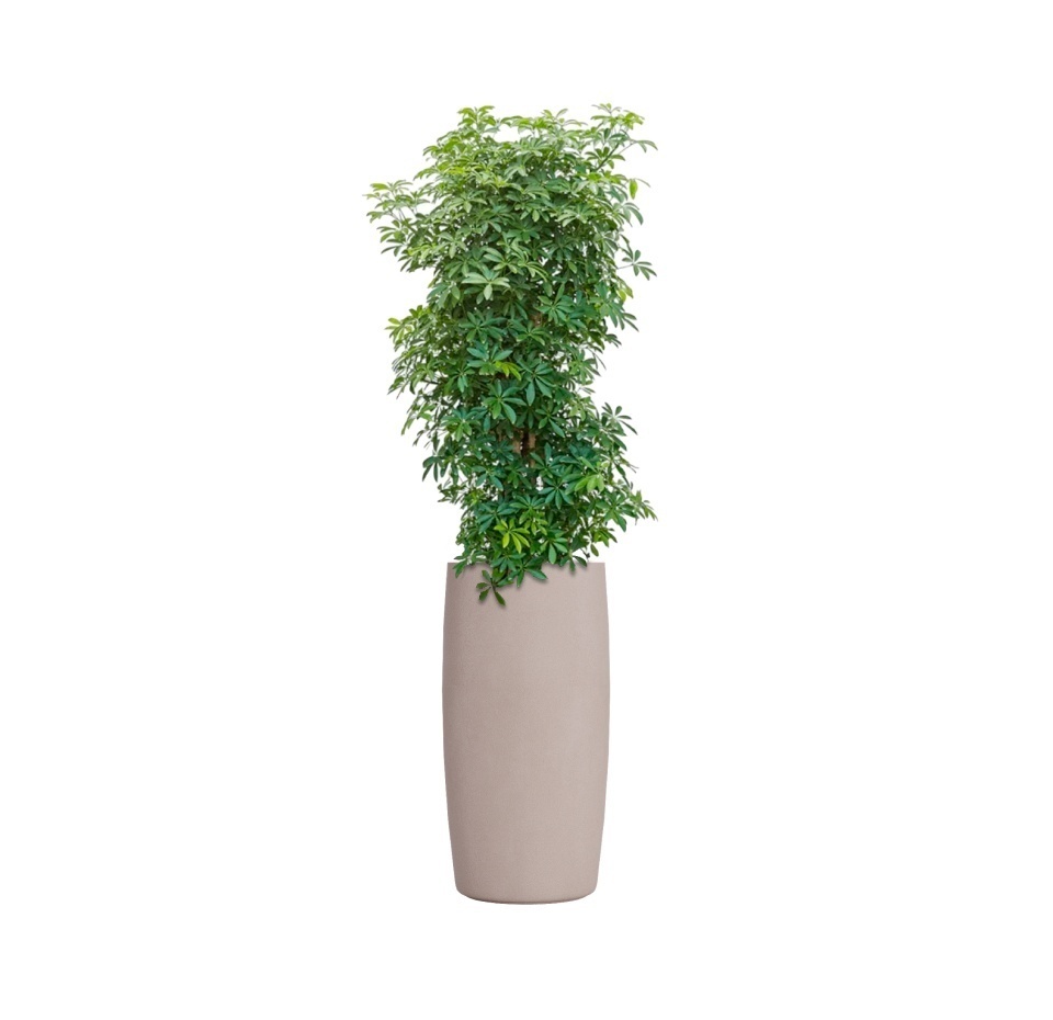 Кашпо CONCRETIKA CIGAR COCOA D37H78
