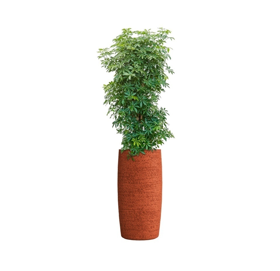 Кашпо CONCRETIKA CIGAR EROSIA CORAL D37H78