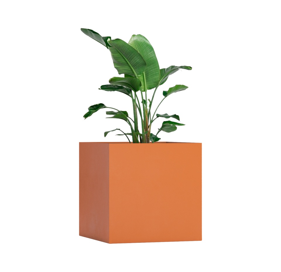 Кашпо CONCRETIKA CUBE CARROT 100x100x100