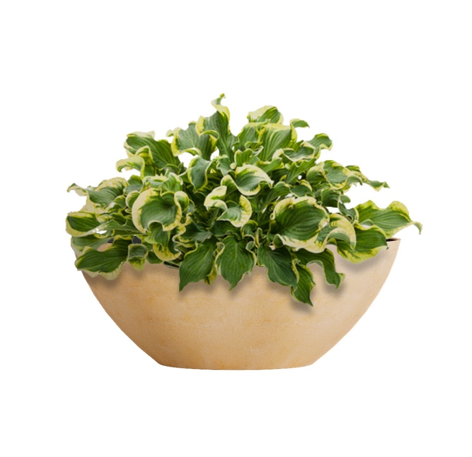Кашпо CONCRETIKA BONSAY LEMON D50H19