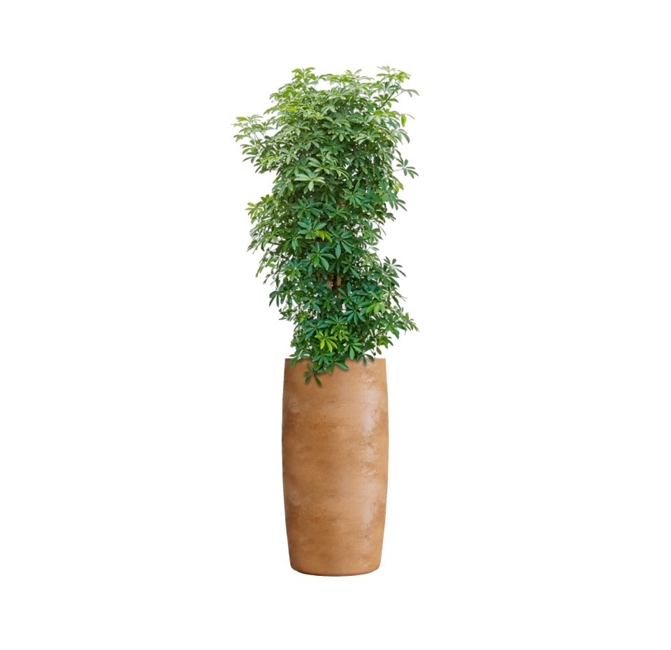 Кашпо CONCRETIKA CIGAR CLASSIC CLAY D37H78