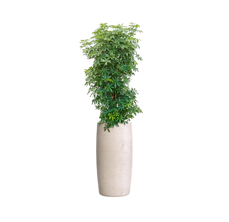 Кашпо CONCRETIKA CIGAR CONCRETE WHITE D37H78