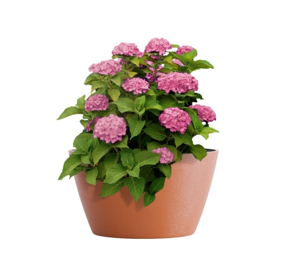 Кашпо CONCRETIKA BOWL CARROT D52H29