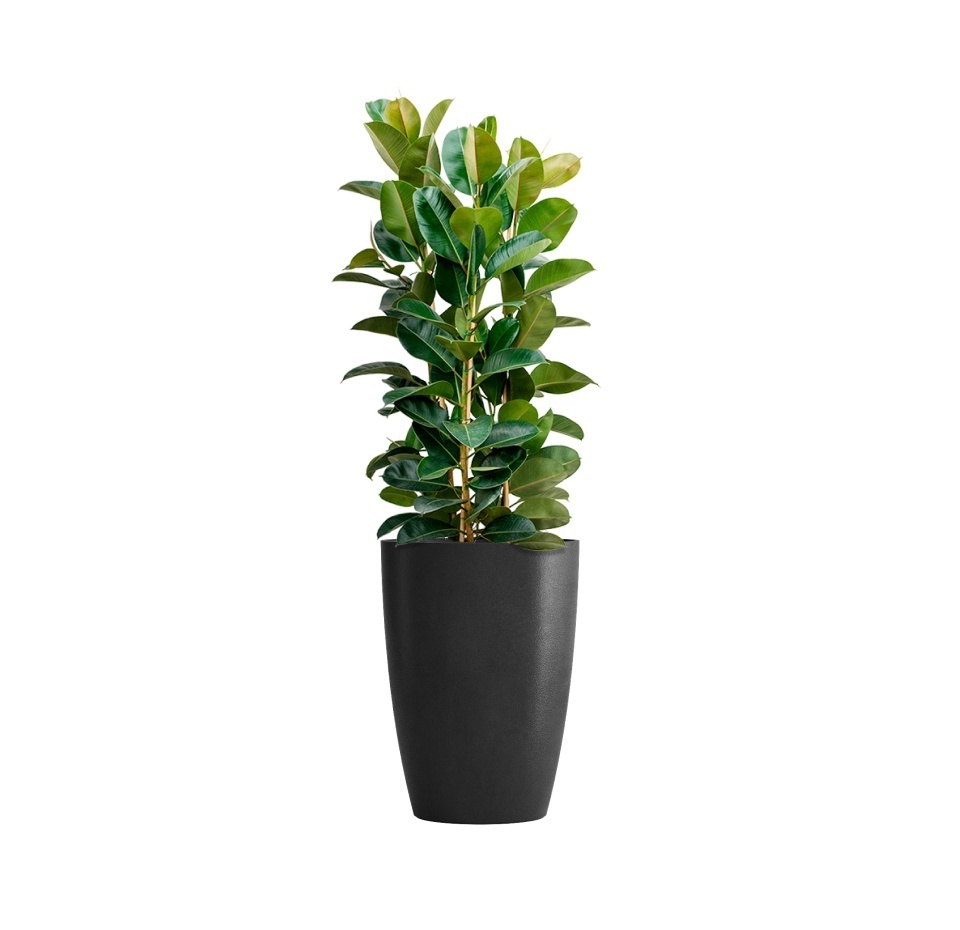 Кашпо CONCRETIKA CONUS NERO D41H57