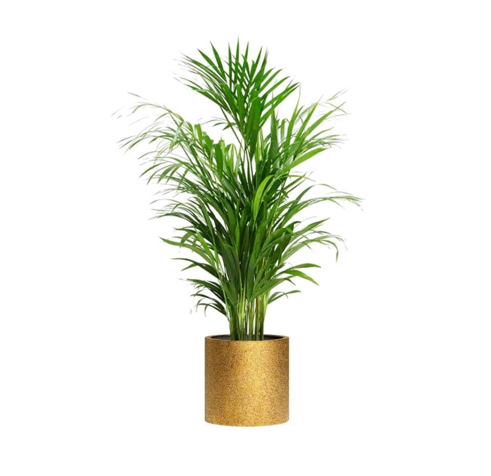 Кашпо CONCRETIKA CYLINDER RICH GOLD D40H40