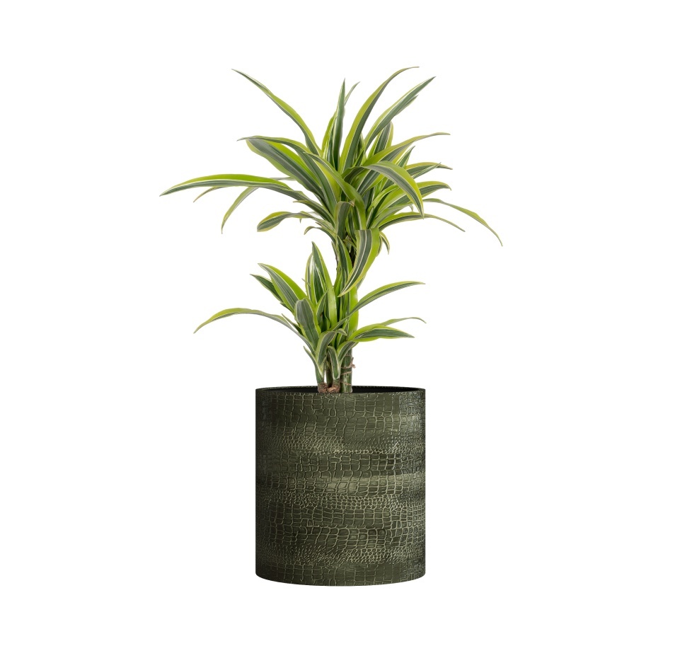 Кашпо CONCRETIKA CYLINDER CAYMAN GREEN D60H65
