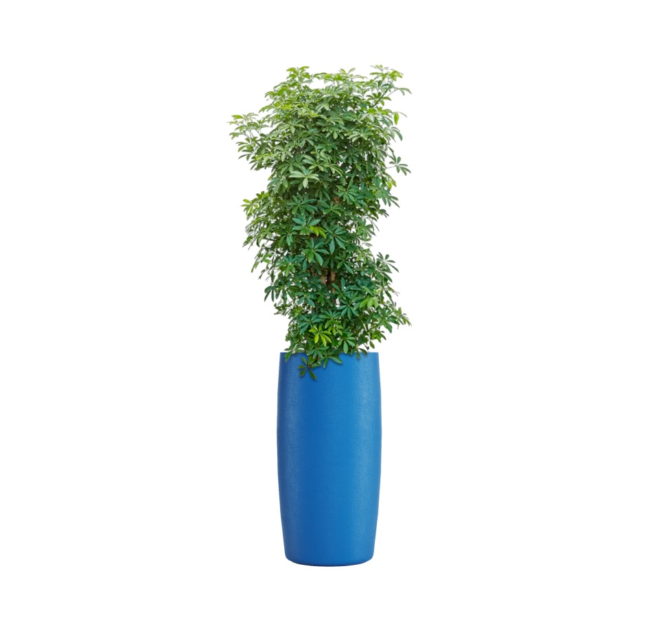 Кашпо CONCRETIKA CIGAR DARK BLUE D37H78