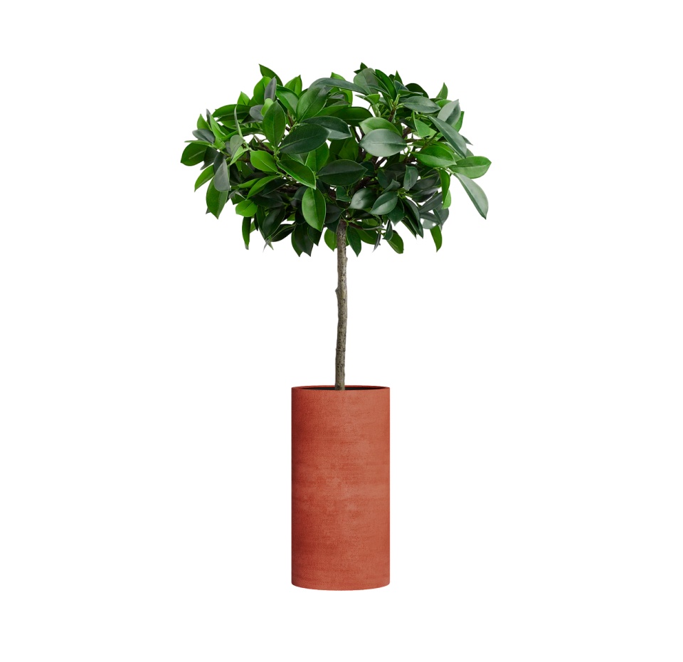 Кашпо CONCRETIKA CYLINDER CANDY D30H60