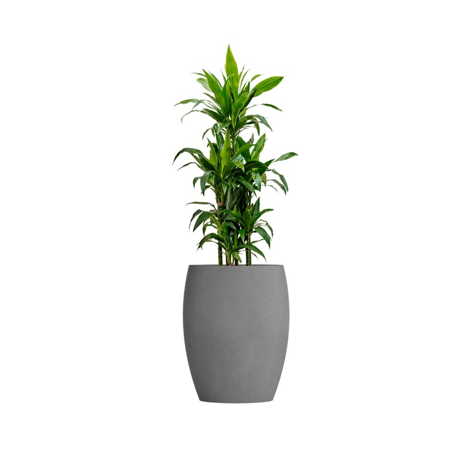 Кашпо CONCRETIKA OVAL LONDON GREY D45H66