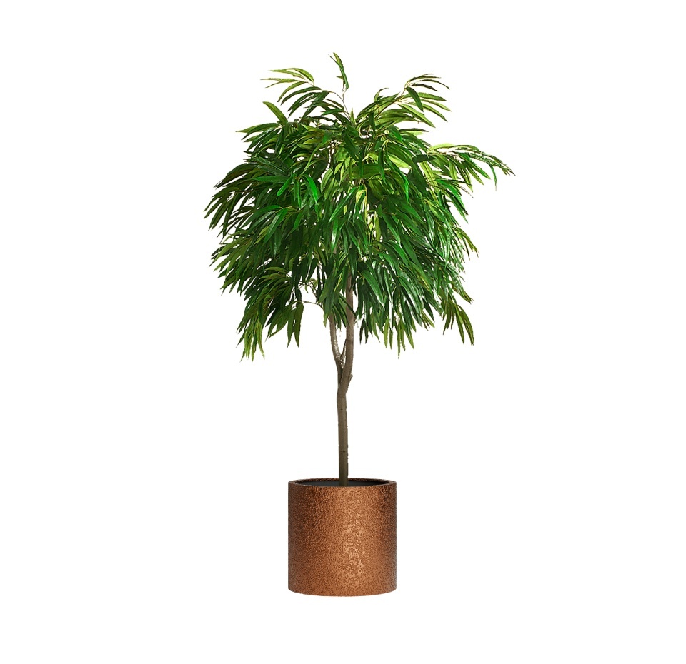 Кашпо CONCRETIKA CYLINDER RICH COOPER D45H45